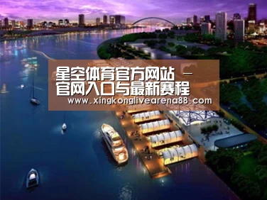 案例展示八