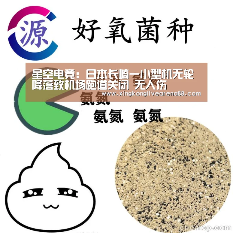 星空电竞:日本长崎一小型机无轮降落致机场跑道关闭 无人伤(图2) 星空电竞
