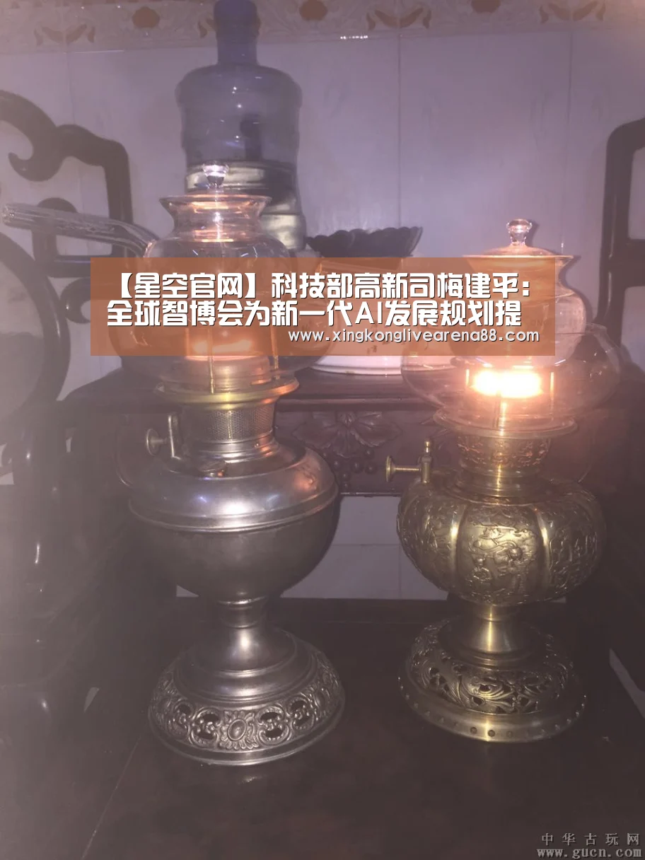 【星空官网】科技部高新司梅建平:全球智博会为新一代AI发展规划提供展示交流平台(图4) 星空娱乐