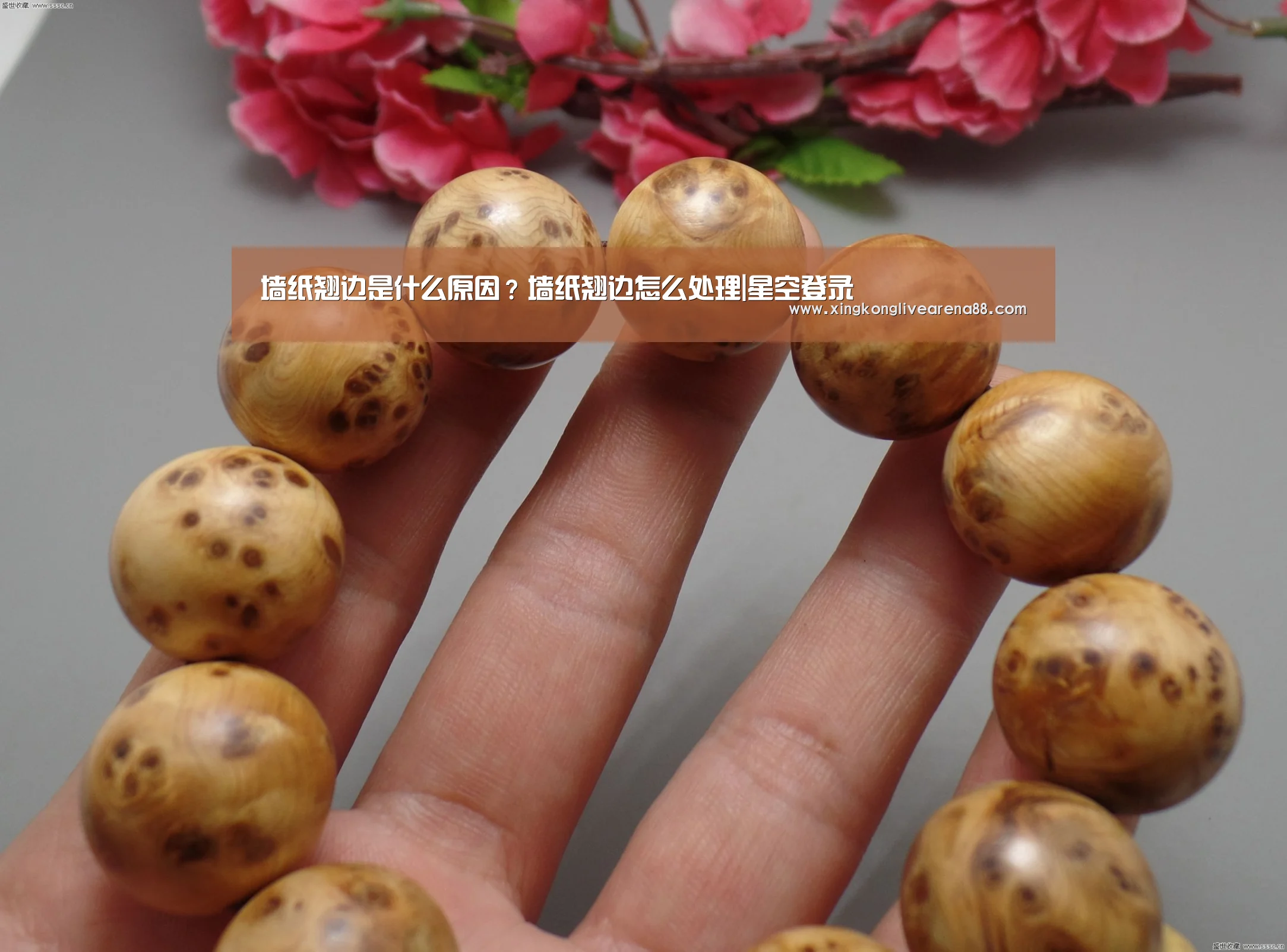 星空娱乐