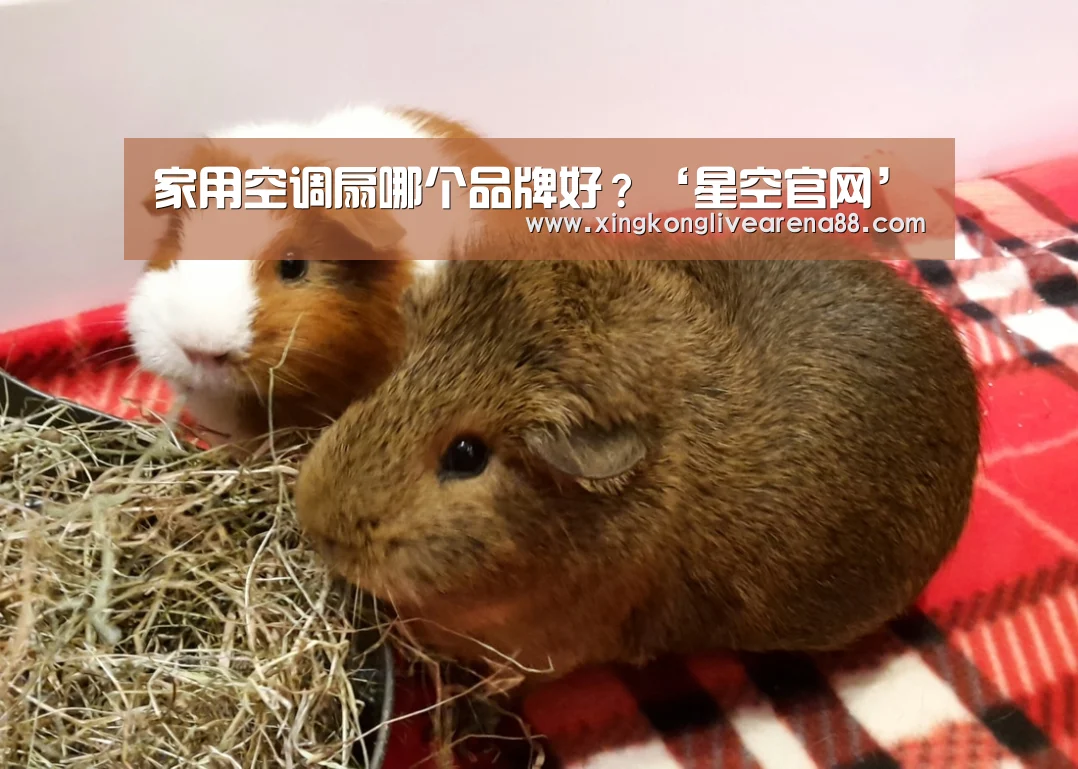 星空官网