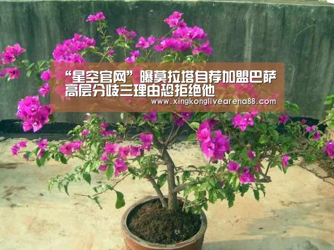 星空登录