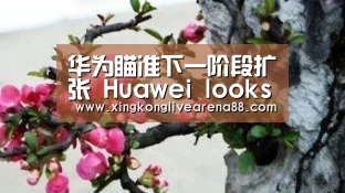 华为瞄准下一阶段扩张 Huawei looks forward to next stage of expansion“星空娱乐”(图3) 星空娱乐