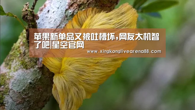 苹果新单品又被吐槽坏,网友太机智了吧|星空官网(图1) 星空登录