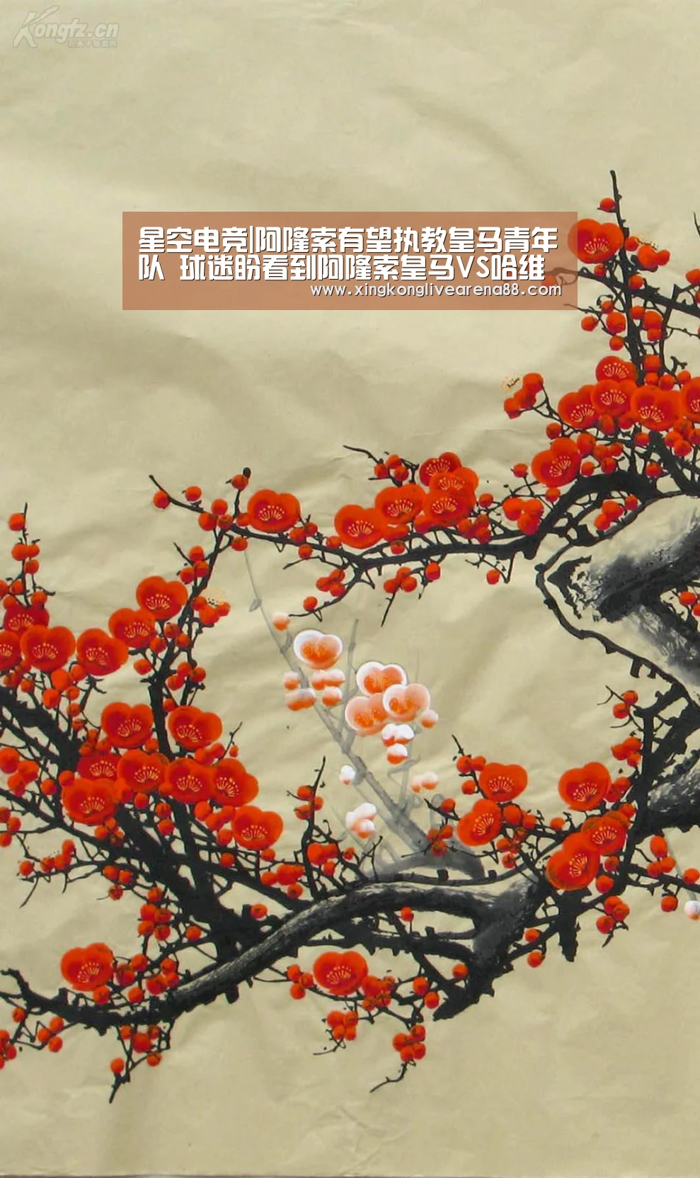 星空电竞|阿隆索有望执教皇马青年队 球迷盼看到阿隆索皇马VS哈维巴萨(图1) 星空娱乐