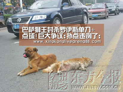 巴萨狮王封杀罗伊斯单刀+点球!巨大争议:扑点违例了:星空电竞(图1) 星空官网