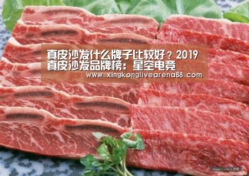 真皮沙发什么牌子比较好?2019真皮沙发品牌榜:星空电竞(图3) 星空官网